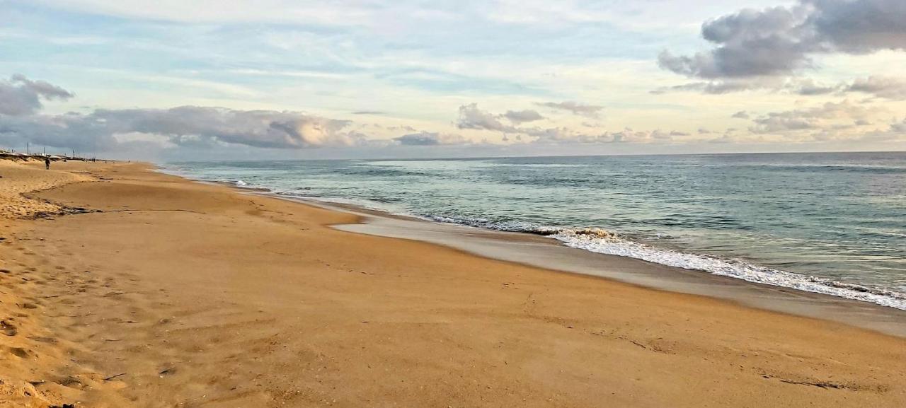 Casa Olhao Terraco: Espaco, Conforto E Terraco Com Churrasqueira Zewnętrze zdjęcie